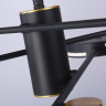 Подвесной светильник Ambrella Light FL51639