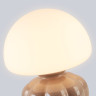 Настольная лампа Ambrella Light LH53247