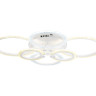 Накладной светильник Ambrella Light FA4065