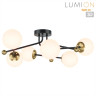 Накладная люстра LUMION 6581/6C