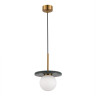 Подвесной светильник ST-Luce SL1191.363.01