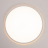Накладной светильник Citilux CL748400