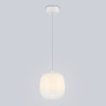 Подвесной светильник Ambrella Light LH11091