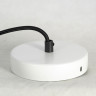 Подвесная люстра Lussole GRLSP-8603