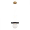 Подвесной светильник ST-Luce SL1191.343.01