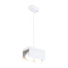 Подвесной светильник Ambrella Light TN70857