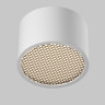 Влагозащищенный светильник Maytoni Technical C122CL-GX53-W