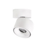 Накладной светильник Citilux CL558010N