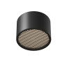 Влагозащищенный светильник Maytoni Technical C122CL-GX53-B