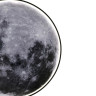 Накладной светильник Escada 605/S LED Moon