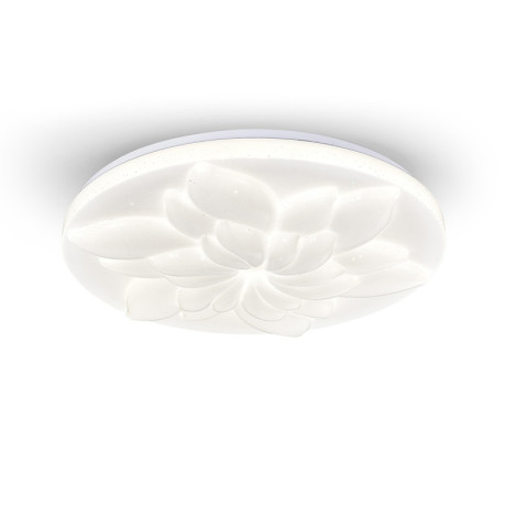 Накладной светильник Escada 472/PL LED