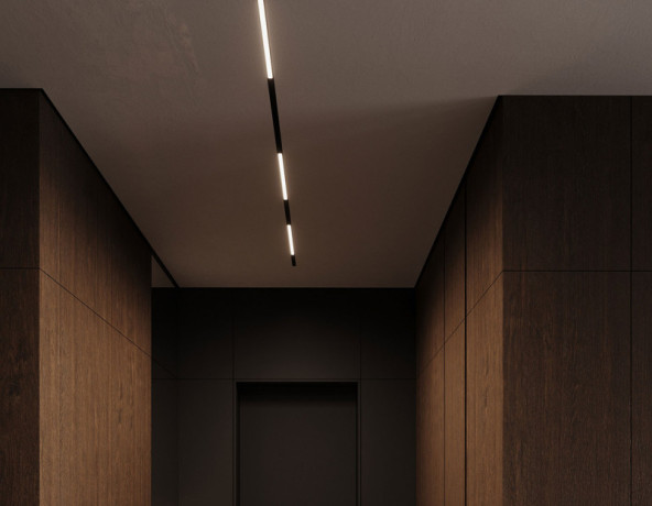 Светильник на шине Ambrella Light GL2330