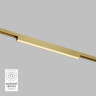 Светильник на шине Denkirs DK5751-SB