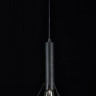 Подвесной светильник Maytoni T021-01-B