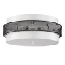 Накладная люстра LUMION 8002/6C