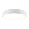 Накладной светильник Citilux CL712240N