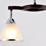 Люстра на штанге Ambrella Light TR3111