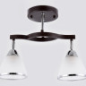 Люстра на штанге Ambrella Light TR3111