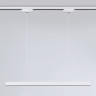 Светильник на шине Ambrella Light GL6782