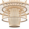 Подвесная люстра ST-Luce SL6241.513.01