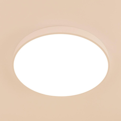 Накладной светильник Citilux CL724105G0
