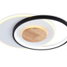 Накладной светильник Ambrella Light FL4789