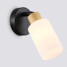 Спот Ambrella Light TR8720