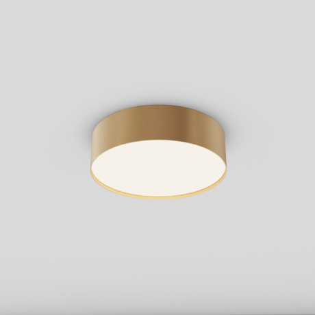 Накладной светильник Maytoni Technical C032CL-24W4K-RD-MG