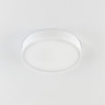 Накладной светильник Citilux CL72424V0