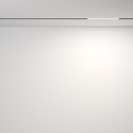 Светильник на шине Maytoni Technical TR106-2-12W4K-B