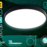 Накладной светильник Ambrella Light FZ1207