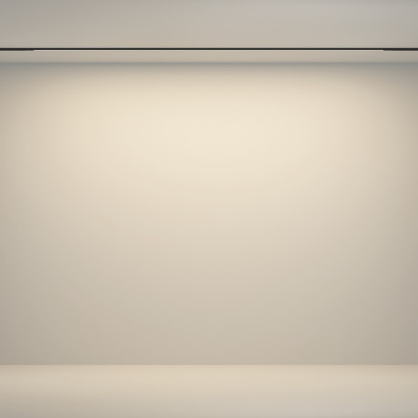 Светильник на шине Maytoni Technical TR180-1-24WTW-B