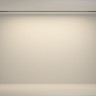 Светильник на шине Maytoni Technical TR180-1-24WTW-B