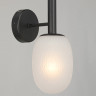 Бра Vitaluce V25540-1/1A