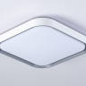 Накладной светильник Ambrella Light FZ1256