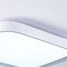 Накладной светильник Ambrella Light FZ1256