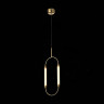 Подвесная люстра ST-Luce SL6004.303.02