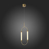 Подвесная люстра ST-Luce SL6004.303.02