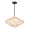 Подвесная люстра ST-Luce SL6241.533.01