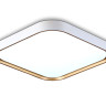 Накладной светильник Ambrella Light FZ1259
