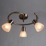 Спот ARTE Lamp A5062PL-3AB