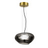Подвесной светильник ST-Luce SL6019.303.01