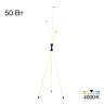 Торшер Citilux CL217961