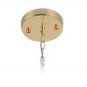 Подвесная люстра Ambrella Light TR5149