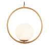 Подвесной светильник Ambrella Light TR2594