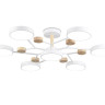 Люстра на штанге Ambrella Light FL4864