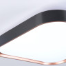 Накладной светильник Ambrella Light FZ1271