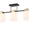 Накладной светильник Ambrella Light TR303046