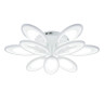 Накладная люстра Escada 10242/9LED