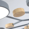 Люстра на штанге Ambrella Light FL4865
